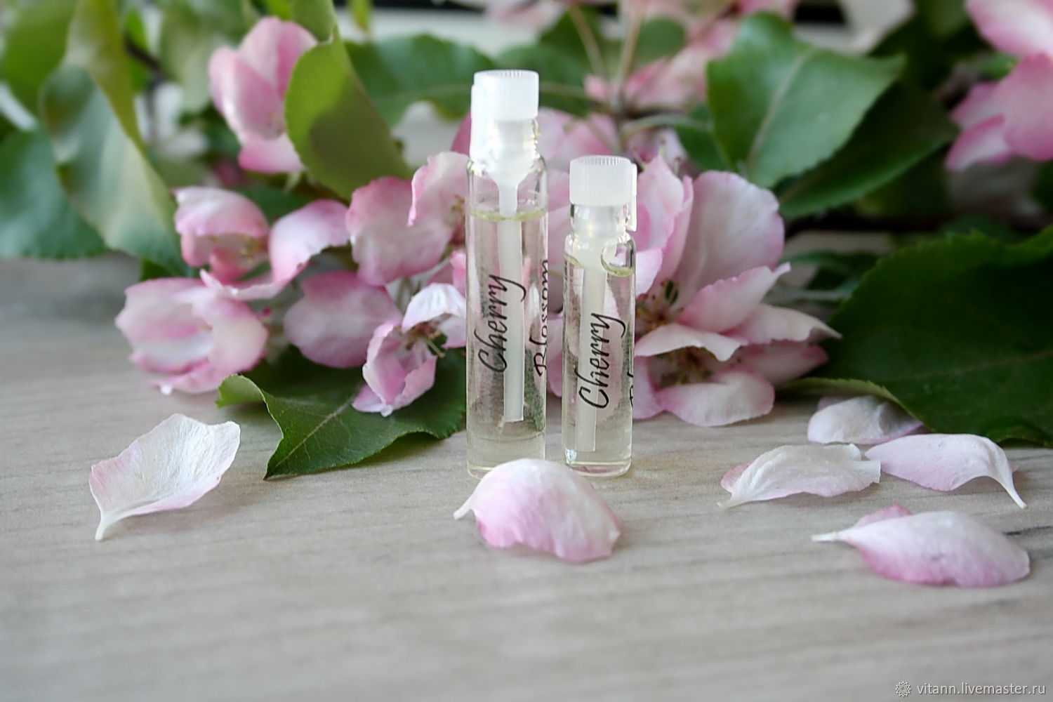 8 основных ароматов в парфюмерии которые должен знать каждый