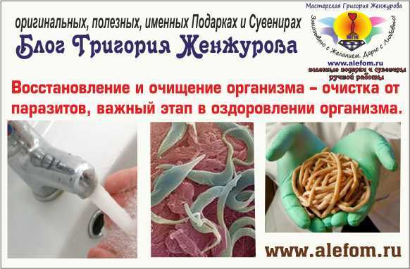 Правильное очищение организма от шлаков, токсинов, паразитов в домашних условиях | maximbuvalin.ru