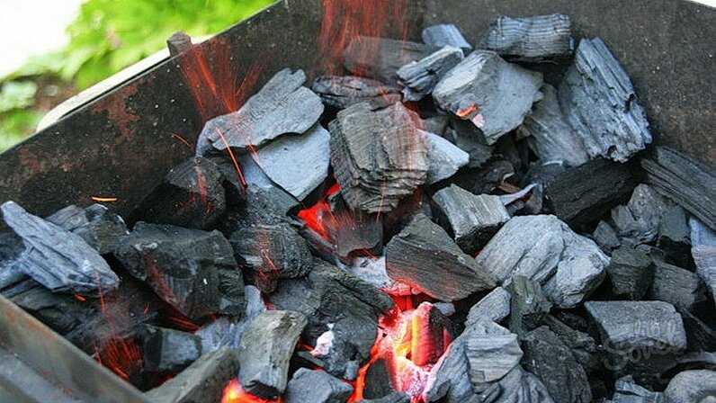 Древесный и активированный уголь: в чем разница, сравнение, отличия