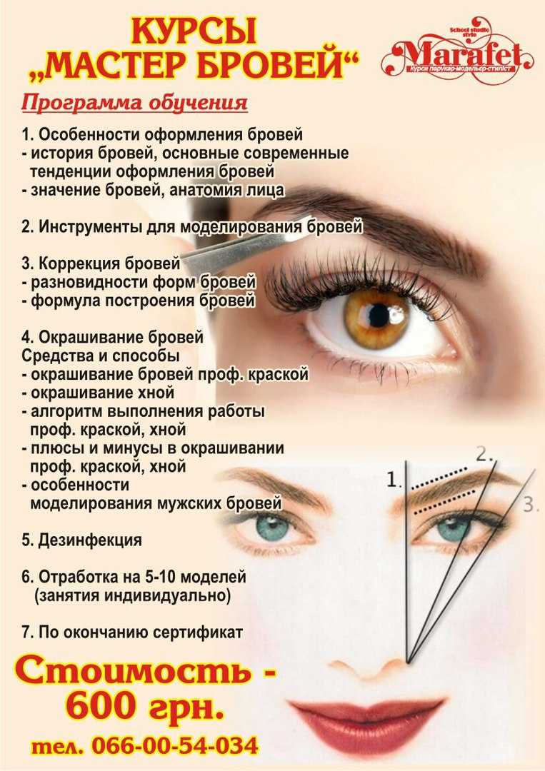 Покраска бровей краской: плюсы, минусы, пошаговая инструкция