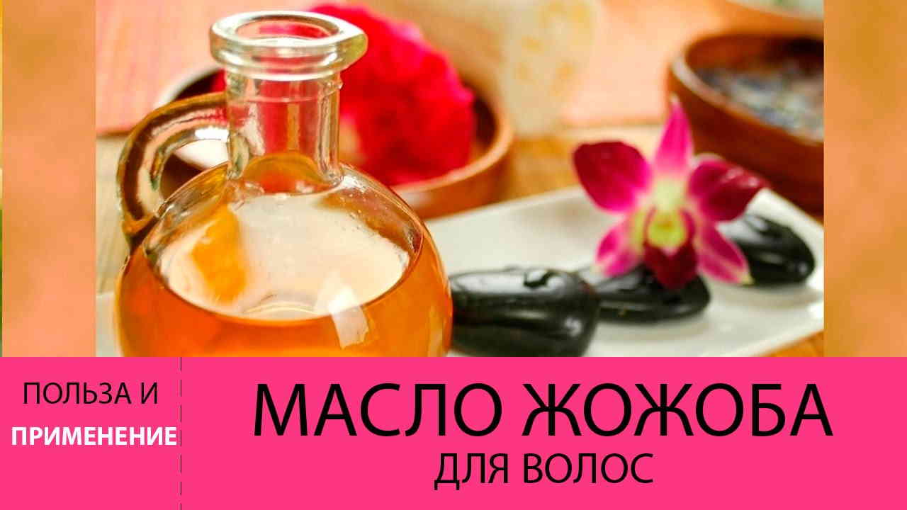 Масло жожоба: самое полезное масло для волос. свойства, способы применения масла, рецепты и отзывы | volosomanjaki.com