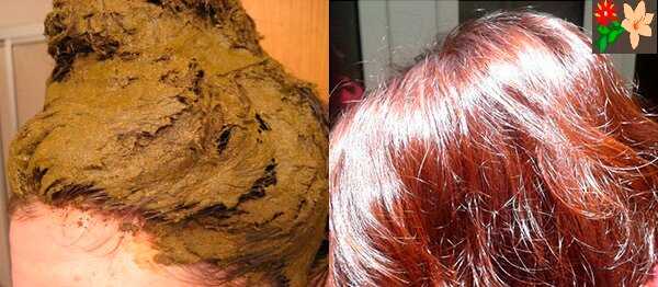 Маски для роста волос в домашних условиях: отзывы 
маски для роста волос в домашних условиях: отзывы 