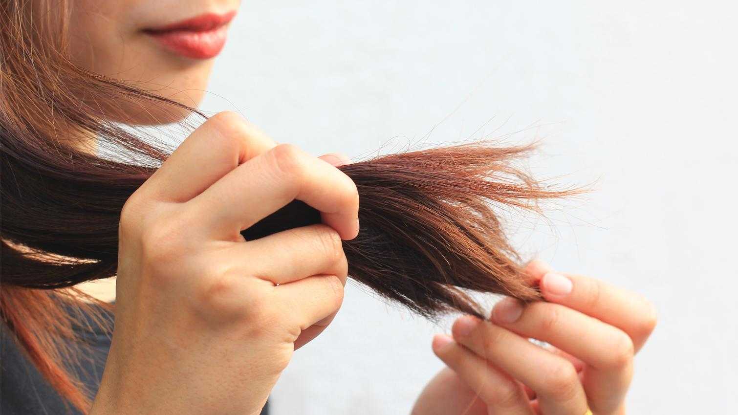 Обзор лучших средств для кончиков волос. как ухаживать за кончиками волос в домашних условиях | volosomanjaki.com