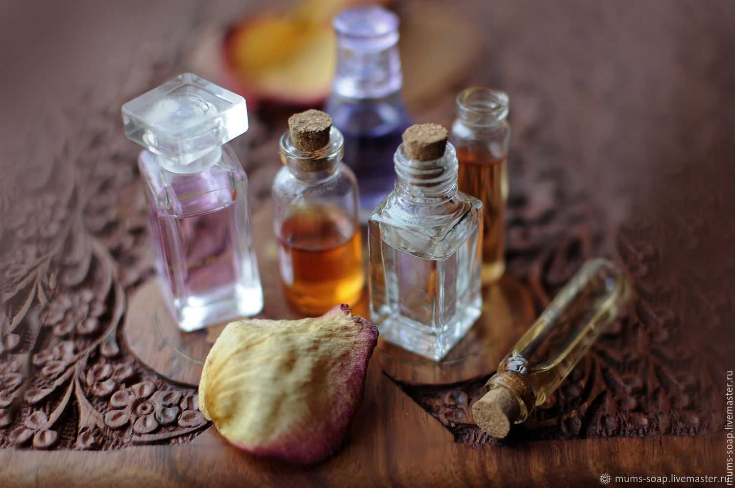 Полное руководство по выбору аромата и покупке духов