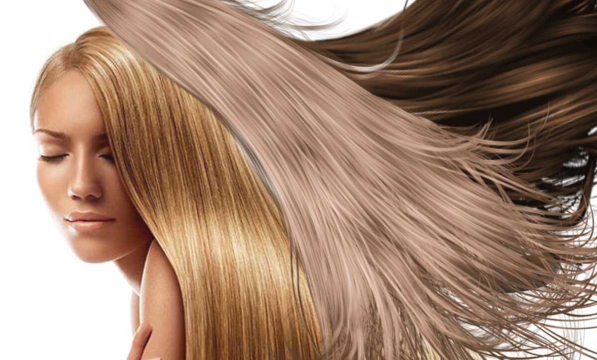 Лучшие шампуни для сухих волос профессиональные и обычные: отзывы, рейтинг
