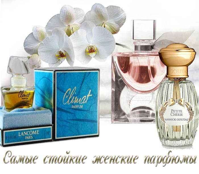 Рейтинг самых стойких духов для мужчин и женщин на aromacode: лучший женский и мужской аромат парфюма, отзывы на туалетную воду со шлейфом