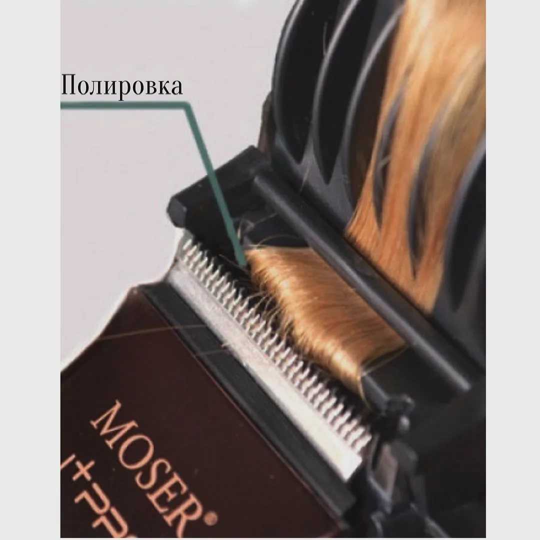 Полировка волос. описание, особенности, показания и плюсы полировки волос