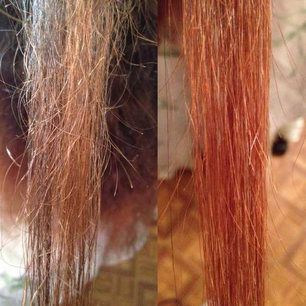 Маски для волос с кефиром в домашних условиях: рецепты для роста | волосок